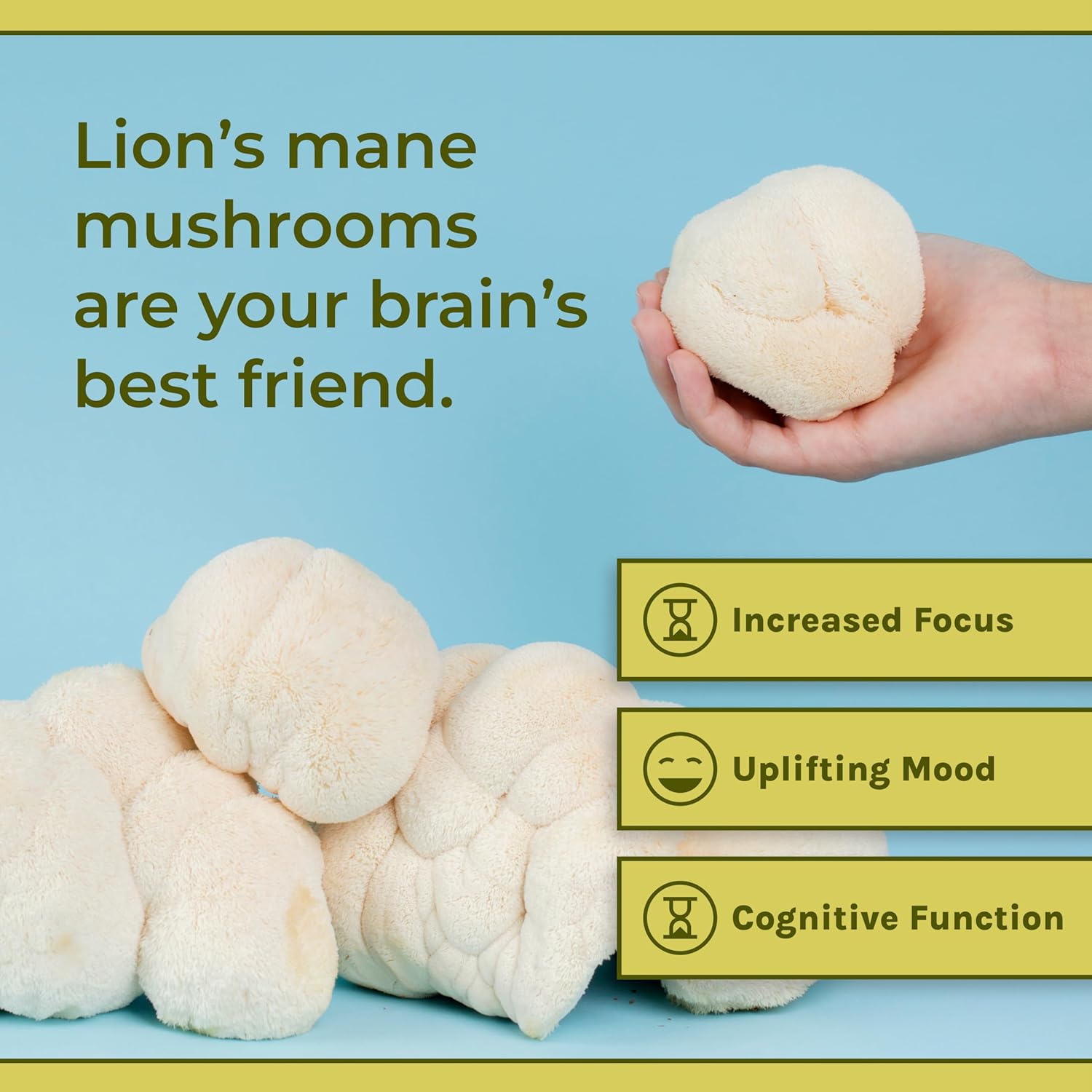 81g843FKtoL._AC_SL1500_.jpg Naturealm Lion's Mane Brain Support Bundle - Organic Mushroom Powder 60 Servings + Handheld Frother | Focus Memory Mental Clarity | Complete Cognitive Wellness Set - Image 4