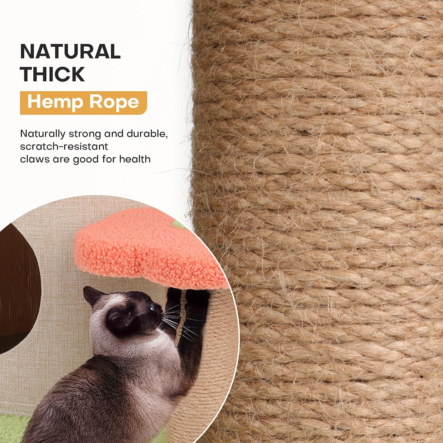 81pnClSqZiL._AC_SL1500_.jpg Cat Tree Cat Tower with Camel Mushroom House & Sisal Scratching Post Cat Climbing Activity Flower Tower for Cats Kittens Pets 3 Layers 23.6" H - Image 2