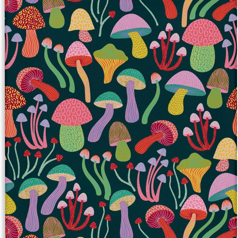 Stupell Industries Magical Times Mushrooms Canvas Wall Art Design by Caroline Alfreds, 24 x 30