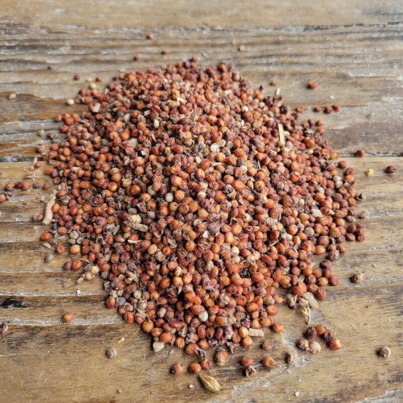 Milo, Red Sorghum, Non-GMO, Perfect for Mushroom Growers, 46lbs