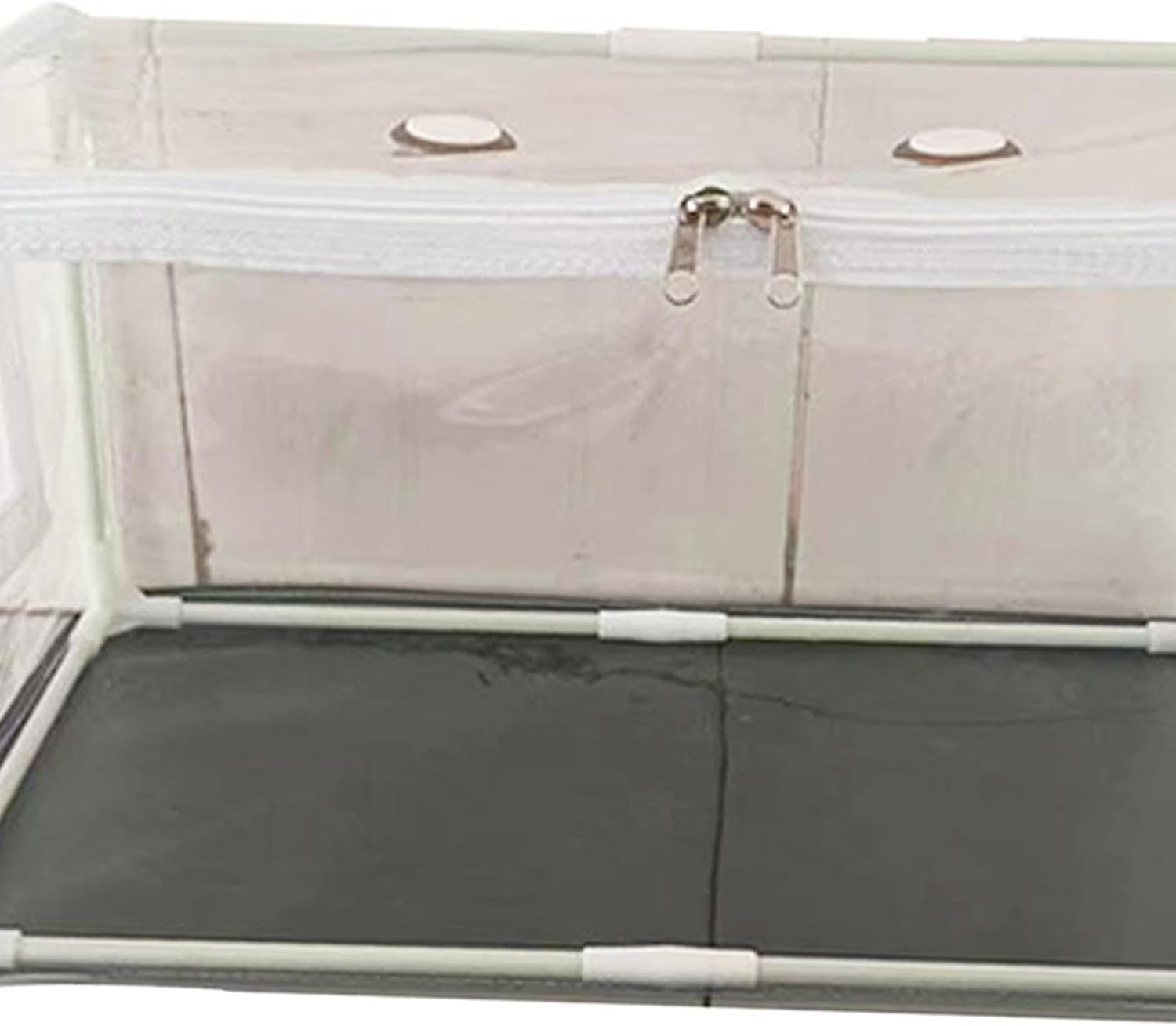 61EicqMU1L._AC_SL1500_.jpg Mushroom Container DIY Kit Portable 80cmx50cmx50cm for Kids and Adults - Image 2