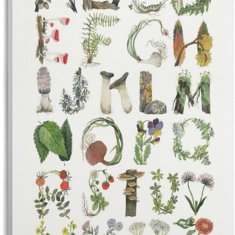 Botanical Alphabet Poster – A-Z Nature Letters with Plants, Mushrooms, And Flowers Art Print Frame-style 24x36inch(60x90cm)