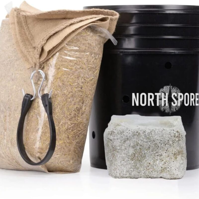 North Spore 'MushBucket' Snow Oyster Mushroom Bucket Grow Kit | Grow Mushrooms | Organic Mushroom Grow Kit