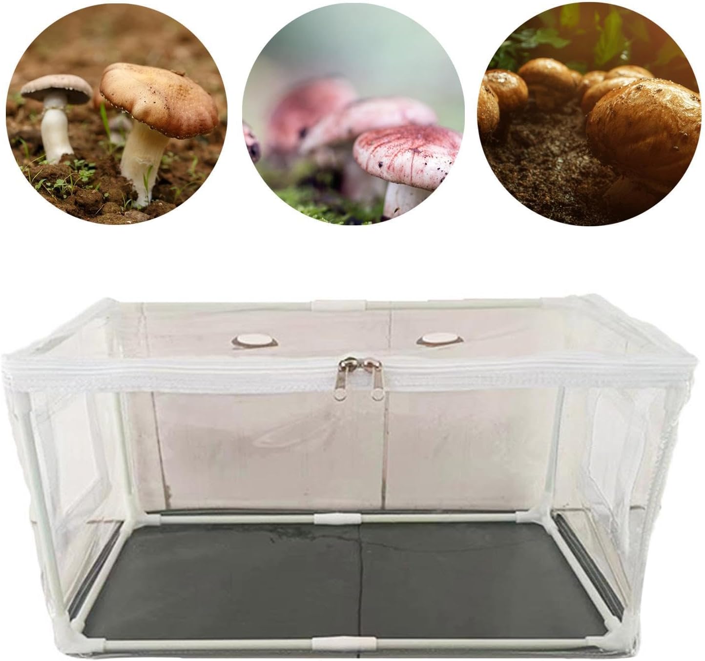 61iHErDUzVL._AC_SL1500_.jpg Mushroom Container DIY Kit Portable 80cmx50cmx50cm for Kids and Adults - Image 7