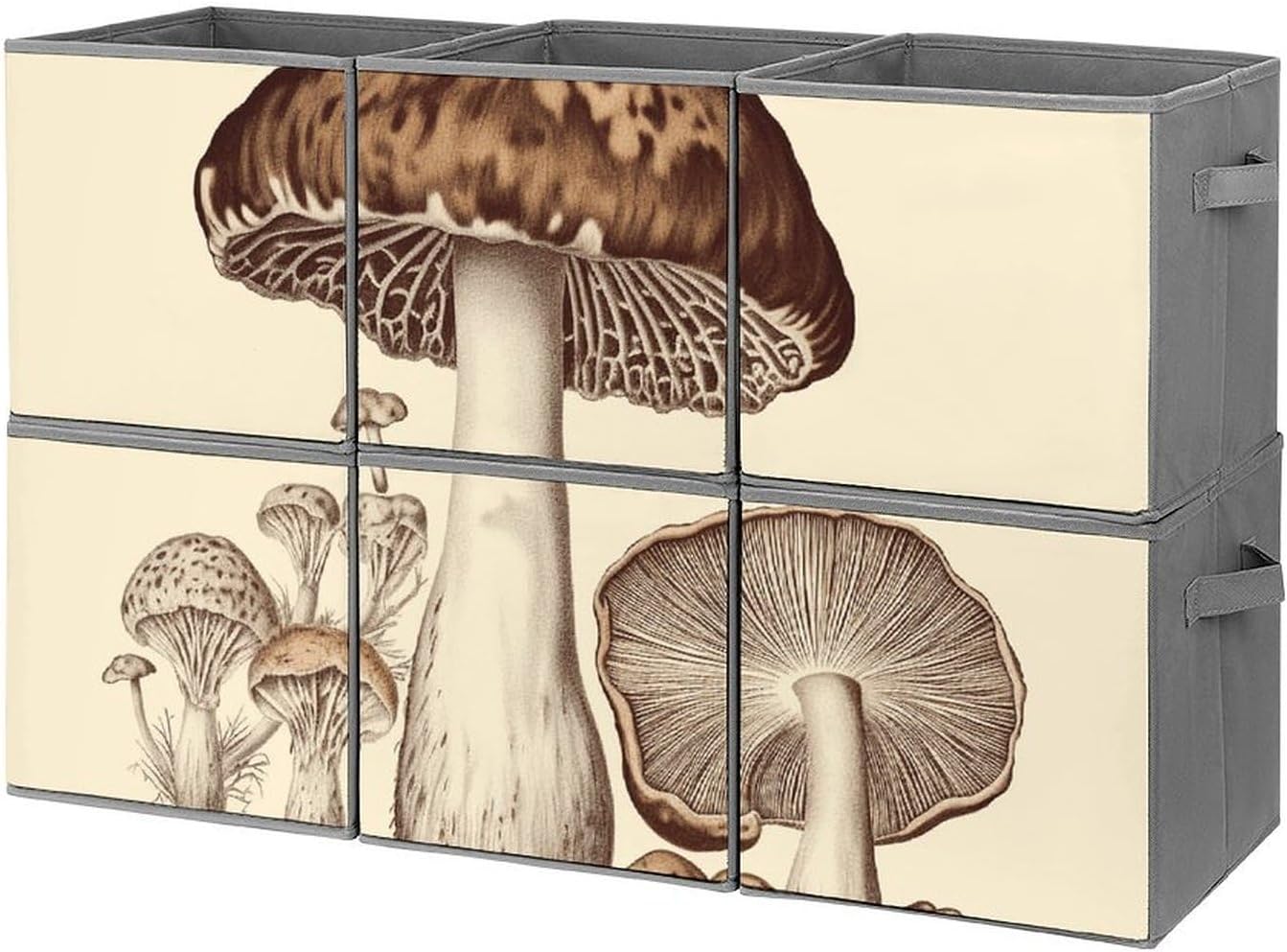 713hMa2Q0IL._AC_SL1500_.jpg Vintage Mushrooms Drawing Printed Foldable Storage Box with Handle, Suitable for Organization, Wardrobe, Shelf, Office, Toys And Other Cube Organizers