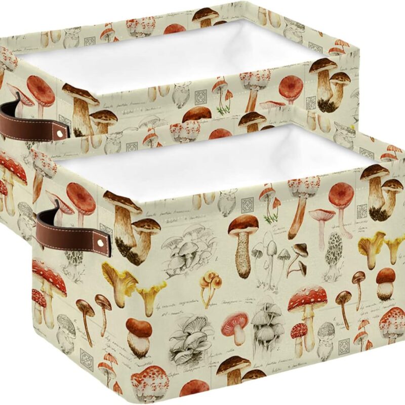 Retro Mushroom Cube Storage Organizer Bins with Handles,15x11x9.5 Inch Collapsible Canvas Cloth Fabric Storage Basket,Books Bin Boxes Fall Vintage Wild Botanic Forest Plant 2 Packs