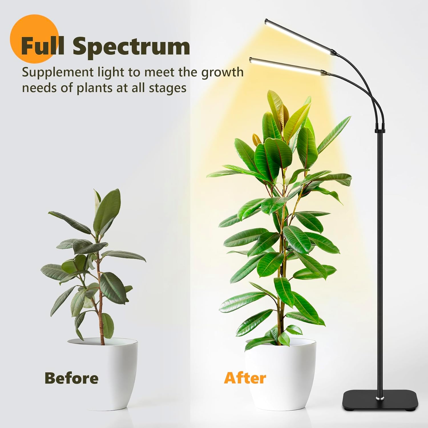 715xOq4j8LL._AC_SL1500_.jpg Plant Grow Light Dual Head, 40W Indoor Growing Lights,144LEDs Full Spectrum Wide Illumination Area, 63IN Adjustable Height Stand, 10 Dimmable, 3/9/12H Auto Timer, Floor Lamp for Plants Growth - Image 3