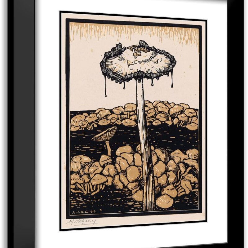 ArtDirect Julie de Graag 14x18 Black Modern Frame and Double Matted Museum Art Print Titled - Dripping Mushroom (1916)