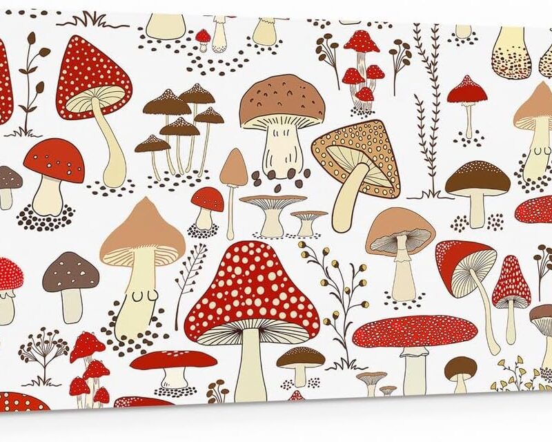 Feelyou Cute Mushroom Decor Canvas Wall Art Kids Cartoon Mushrooms Canvas Prints Large Kawaii Fungus Large Artwork 24"x48" Wild Mushroom Stuff Wall Painting