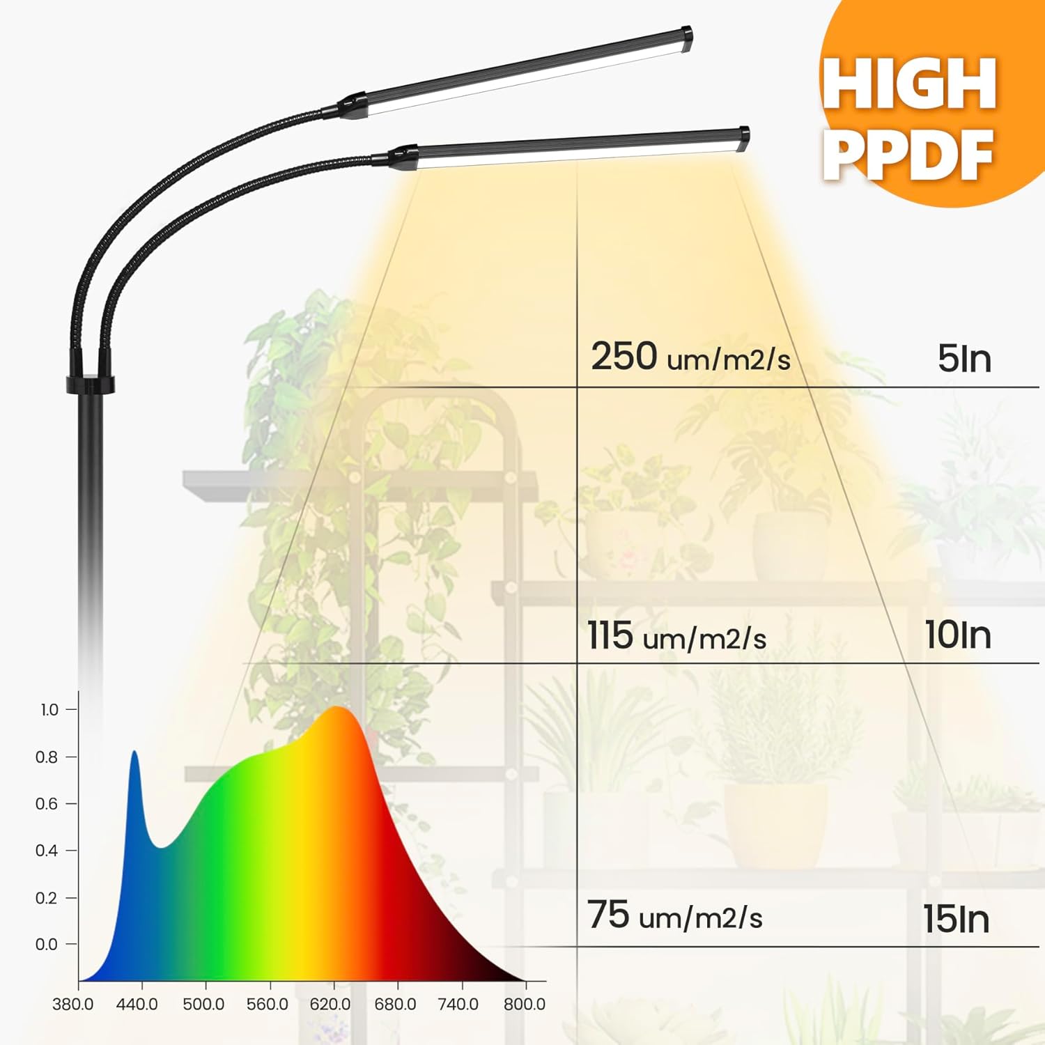 71ZrXO3y5jL._AC_SL1500_.jpg Plant Grow Light Dual Head, 40W Indoor Growing Lights,144LEDs Full Spectrum Wide Illumination Area, 63IN Adjustable Height Stand, 10 Dimmable, 3/9/12H Auto Timer, Floor Lamp for Plants Growth - Image 4