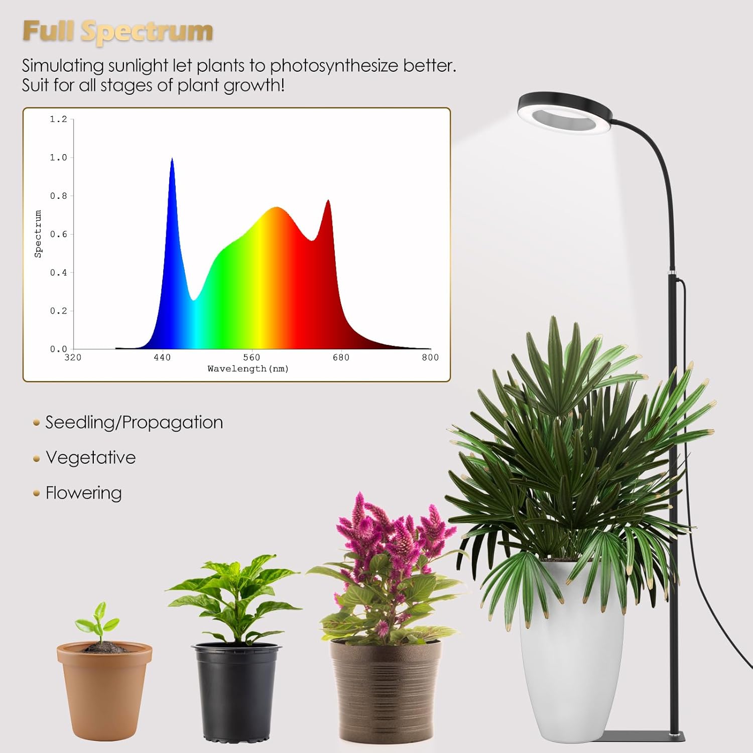 71bVWSOSDhL._AC_SL1500_.jpg GLOWRIUM Grow Lights for Indoor Plants, 20W Full Spectrum LED Grow Light Floor Lamp with Stand Adjustable Height and Angle, Black Plant Light with 3/9/12H Grow Light Timer - Image 2