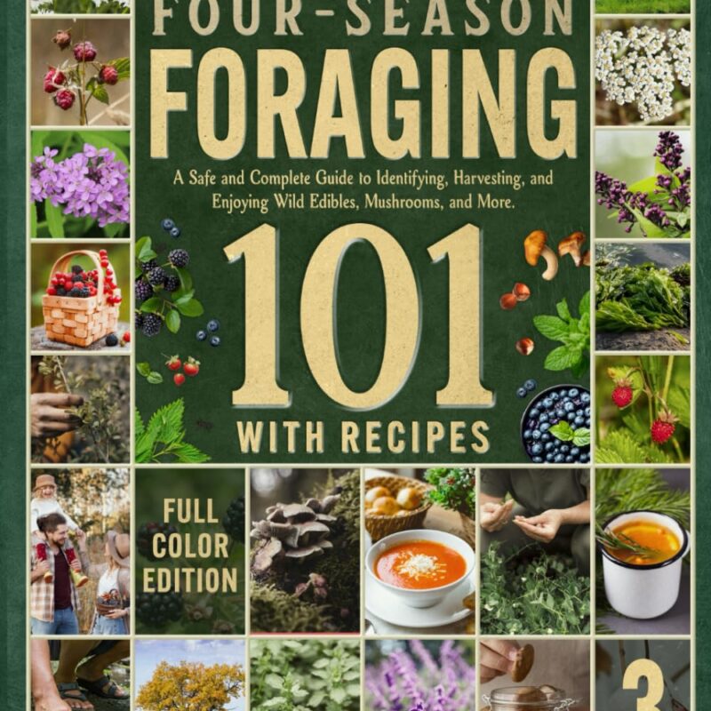 Four-Season Foraging 101: A Safe and Complete Guide to Identifying, Harvesting, and Enjoying Wild Edibles, Mushrooms, and More — Featuring FULL-COLOR Visuals of All Plants and Recipes