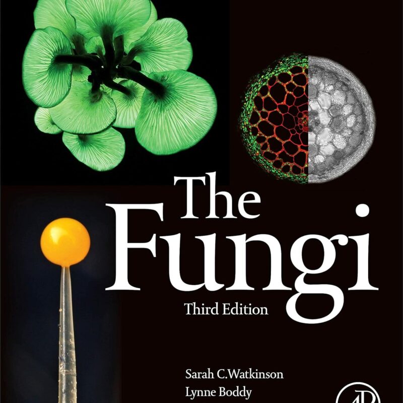 The Fungi
