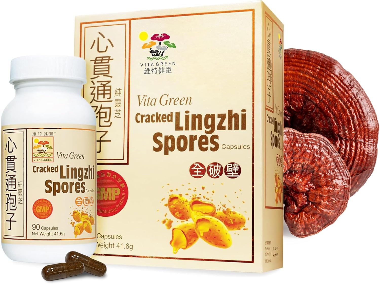 81ABALgVI6L._AC_SL1500_.jpg Vita Green Reishi Mushroom Capsules for Energy, Memory, and Immune Support Cracked Lingzhi Spores – Red Reishi Mushroom Capsules for Vitality and General Wellness Bundle - Image 3