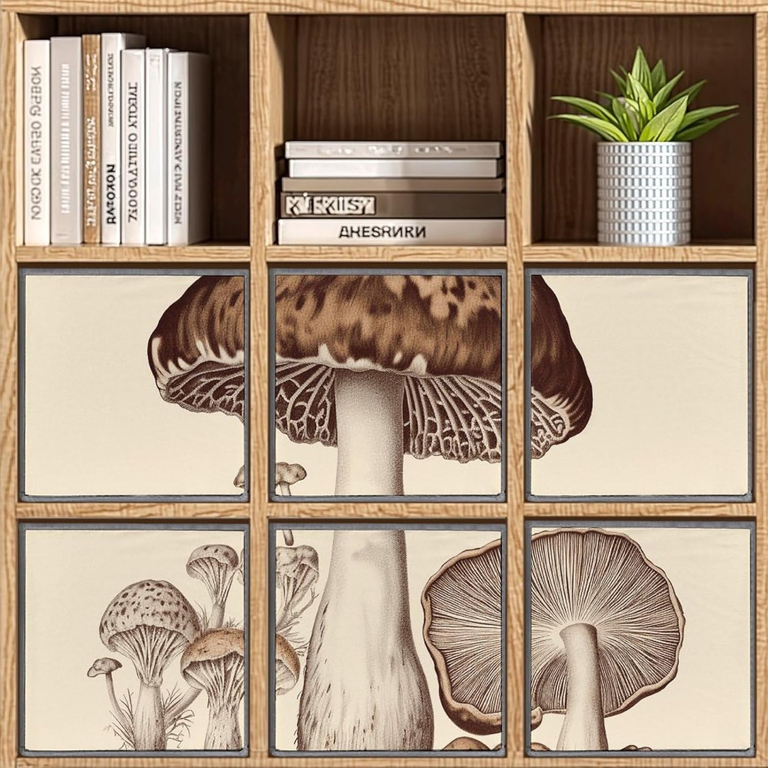 81HgiBVMqYL._AC_SL1500_.jpg Vintage Mushrooms Drawing Printed Foldable Storage Box with Handle, Suitable for Organization, Wardrobe, Shelf, Office, Toys And Other Cube Organizers - Image 8