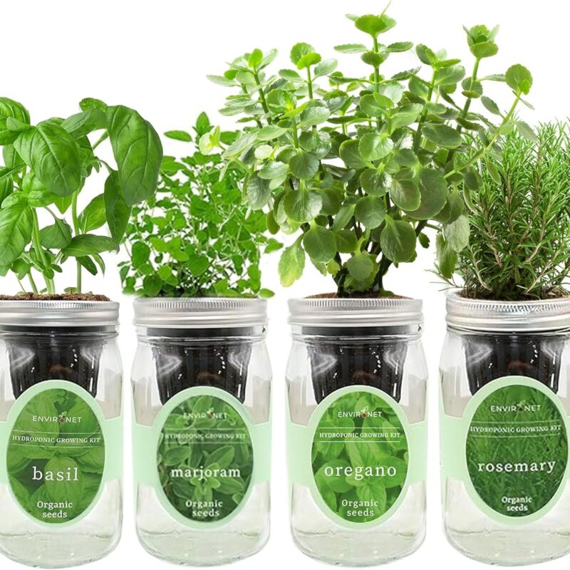 Hydroponic Mason Jar Indoor Garden Organic Seed Starter Kits - Italian Herb Blend Growing Kits, Windowsill Herb Garden, Gardening Gift (Basil, Marjoram, Oregano, Rosemary)