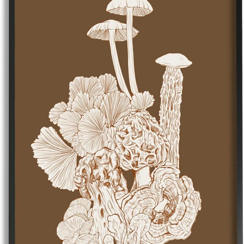 Stupell Industries Mushrooms Forest Flora Plants Arrangement Intricate Detail, Design by Ziwei Li