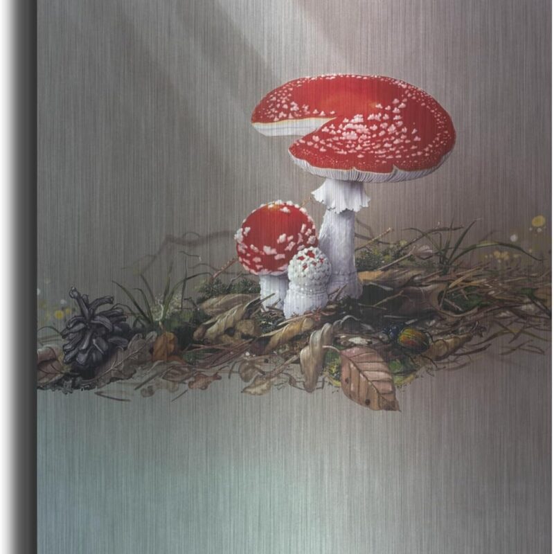 'Mushrooms' by Harro Maass, Metal Wall Art, 24"x36"