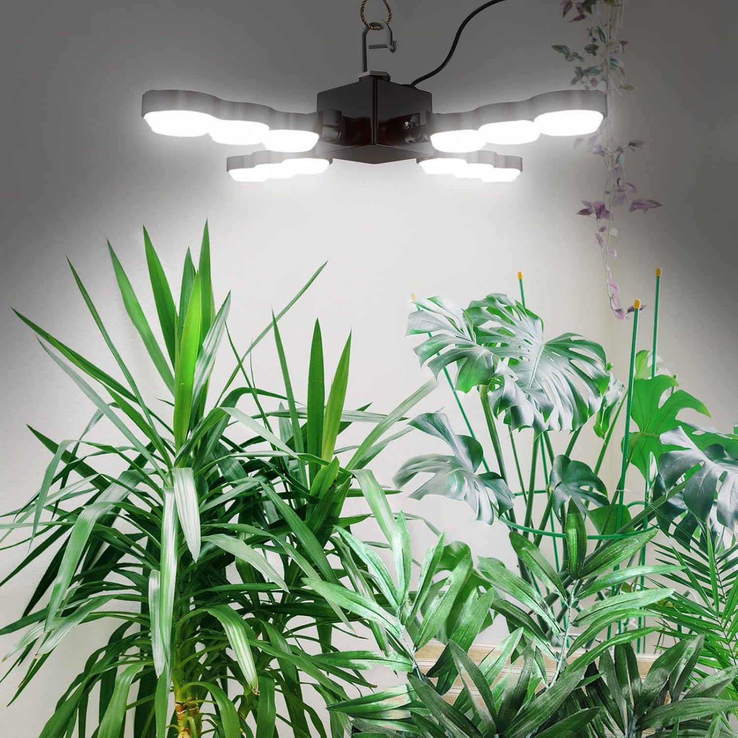 81rBiPfHkL._AC_SL1500_.jpg SANSI LED Grow Light, LED Full Spectrum 60W Plant Grow Lamp with Optical Lens for High PPFD, Perfect for Indoor Greenhouse Plants, with Hook