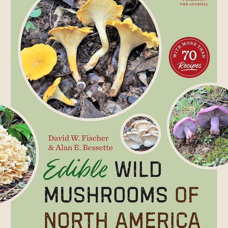 Edible Wild Mushrooms of North America: A Field-to-kitchen Guide