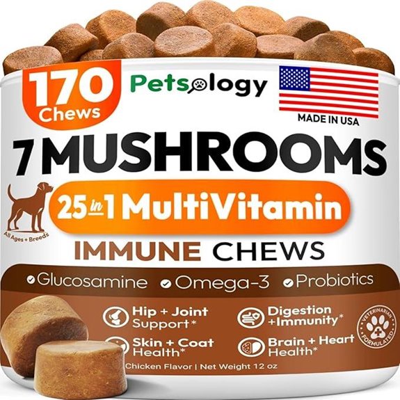Dog Immune Support Mushrooms - 170 Chews (Lion’s Mane Reishi)