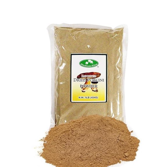 Porcini Mushroom Powder 1 lb Gourmet Seasoning