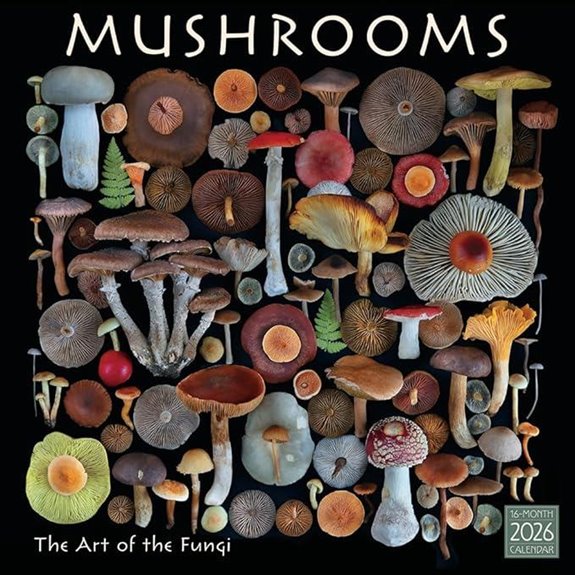 Mushrooms 2026 Wall Calendar: Botanical Photography by Moritz Schmid