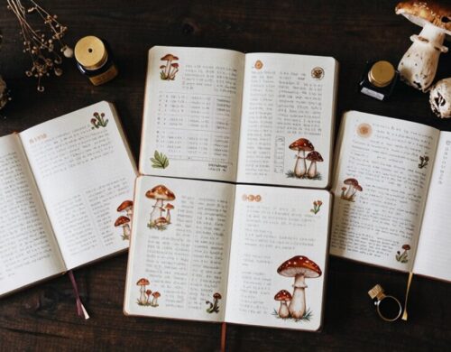 3 Must-Have Mushroom Bullet Journals for 2026