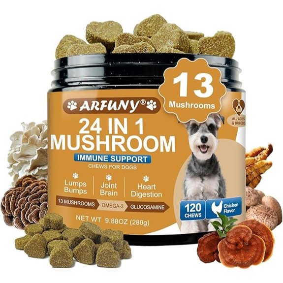 Dog Health Mushrooms: Turkey Tail + 12 More For Gut Skin Joints