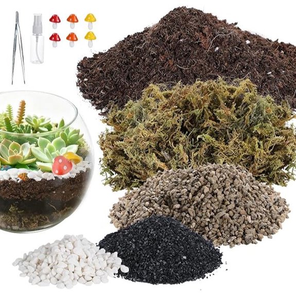 Terrarium Kit for Adults with Accessories and Tools
